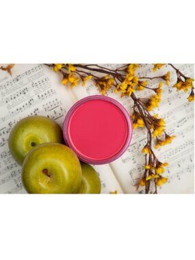 New Sealed Peony Dixie Belle Chalk Mineral Paint 8oz